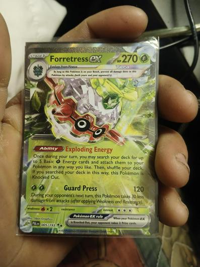 Forretress ex [Holo] #2 photo