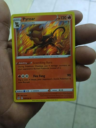 Pyroar #29 photo