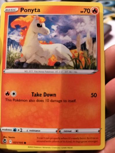 Ponyta #21 photo