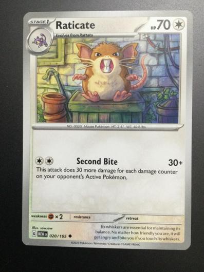 Raticate #20 photo