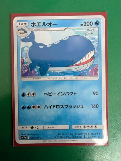 Wailord #20 photo