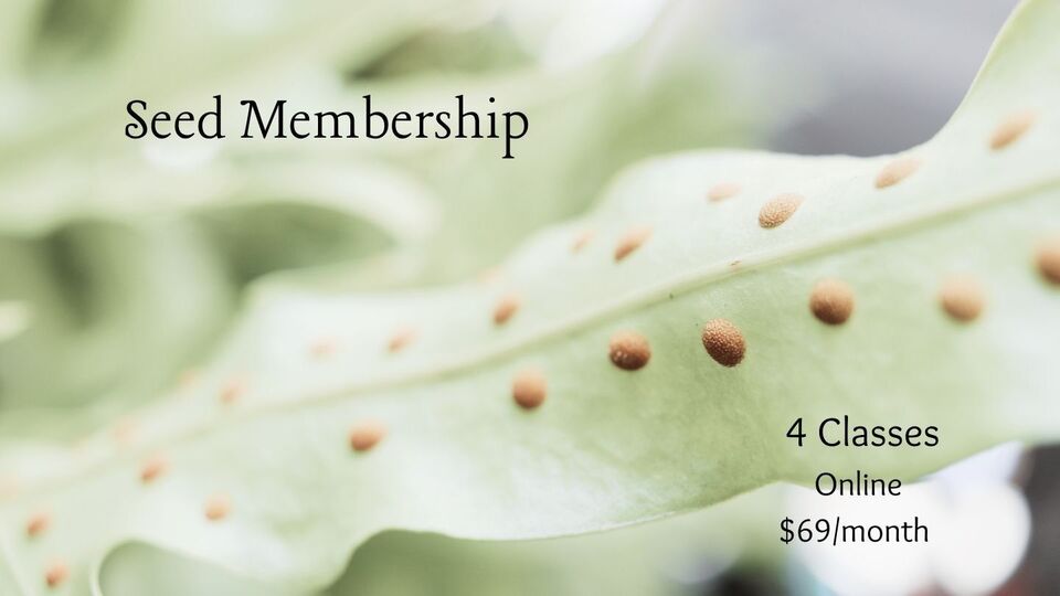 Seed Membership 