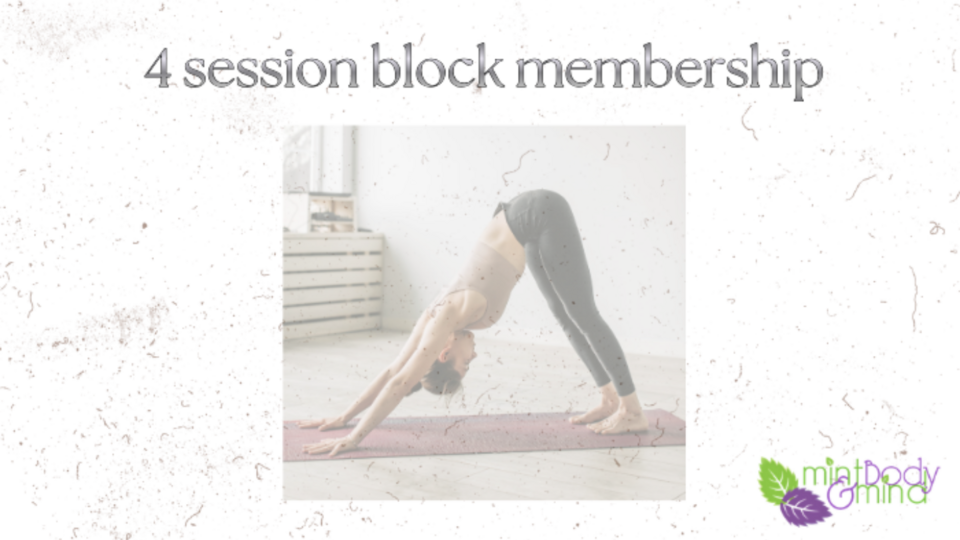 4 session group classes Pilates block