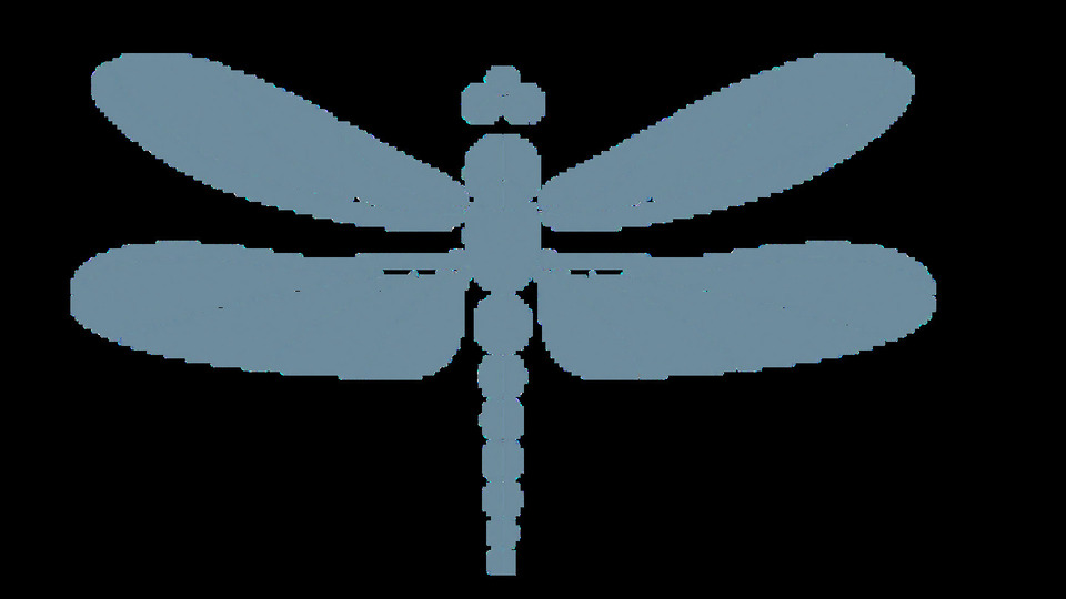 Dragonfly Membership