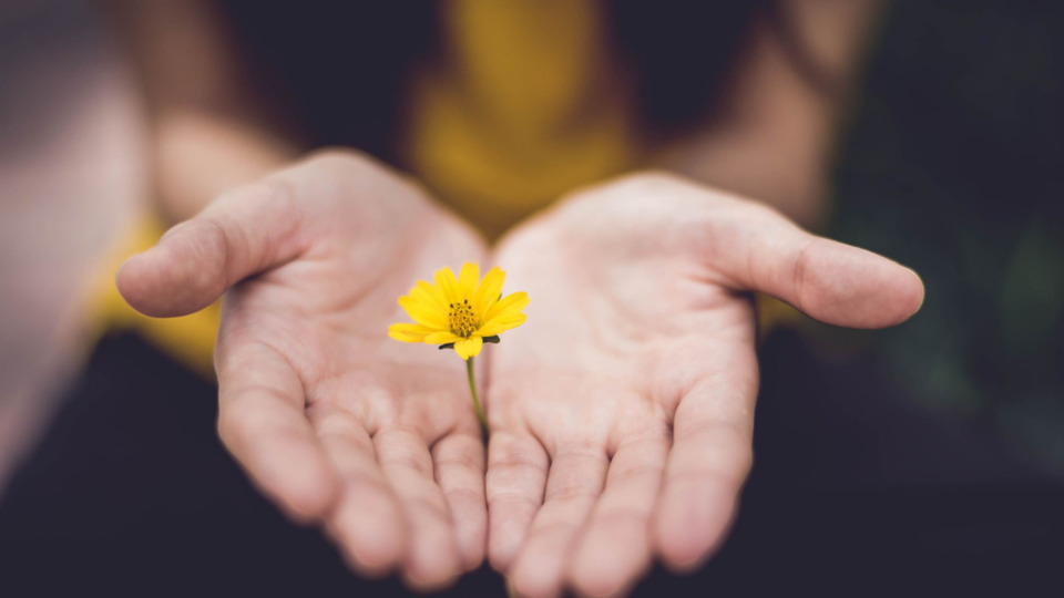 Offering Image