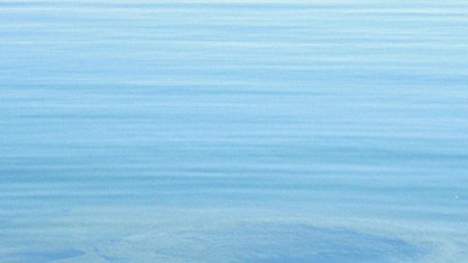 Unlimited Monthly Online Meditation Classes