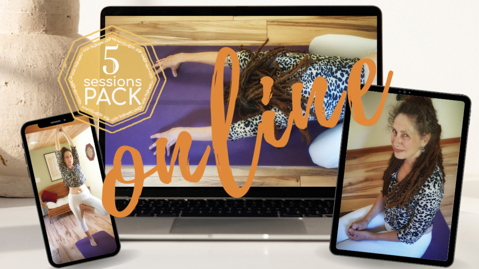 Online 5 Session Pack (1.5 hours/session)