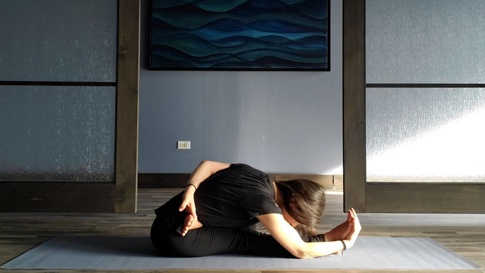 Yoga in the Parkshore