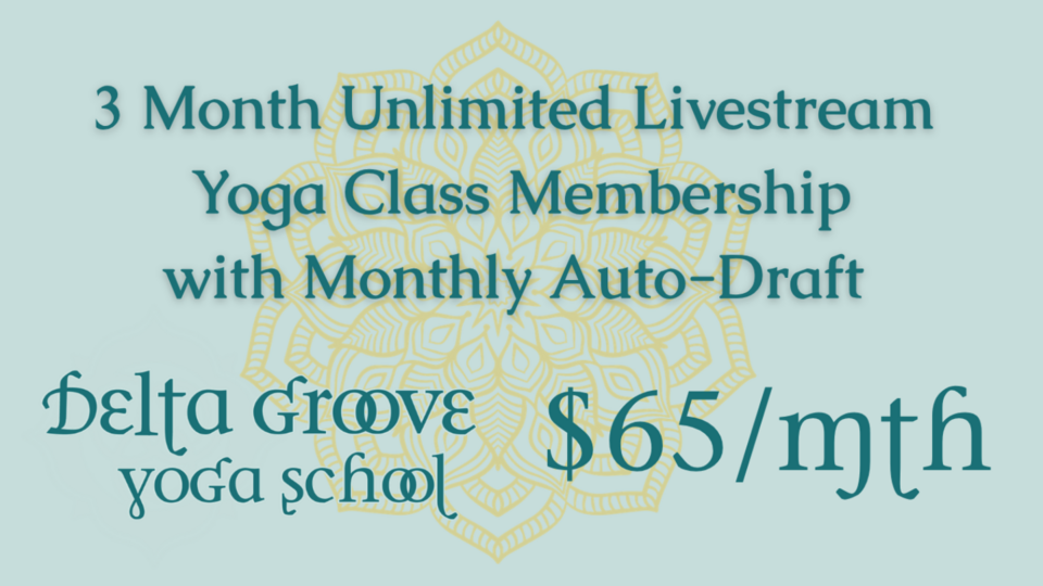 3 Month - Unlimited Livestream Yoga Class Membership