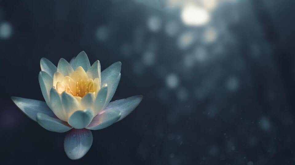 Reiki Share