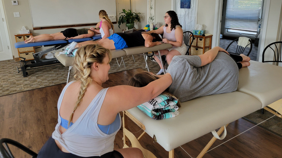 Applied Fascia Science for Full-Body Pain Management: Foundations of Fascia-Targeting Manual Therapy