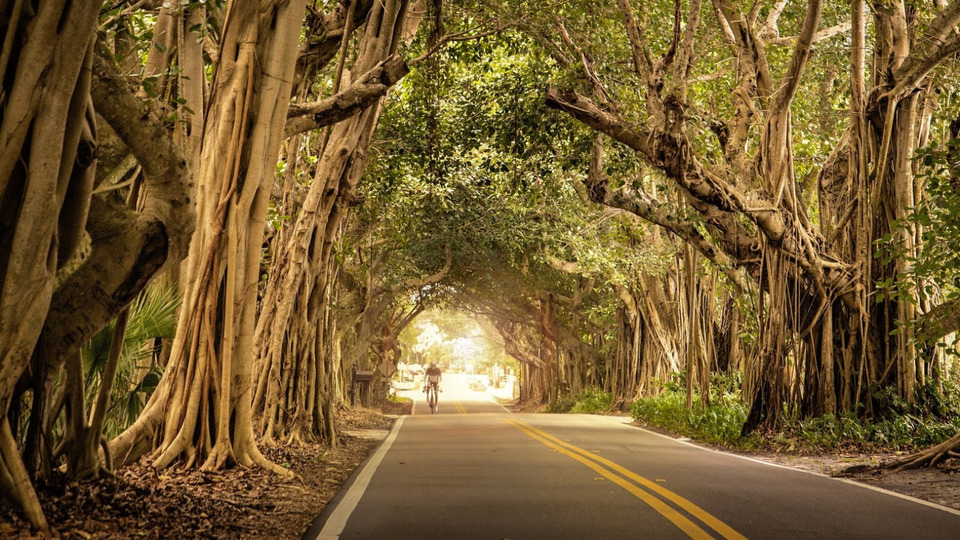 Private 1:1 60 minute Session