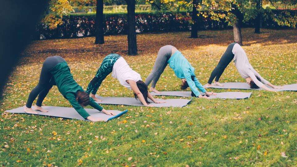 In - Person Private Group Yoga Sessions