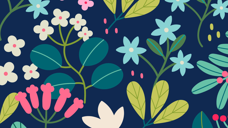 6-Session Private Meditation At Home (single or couple)