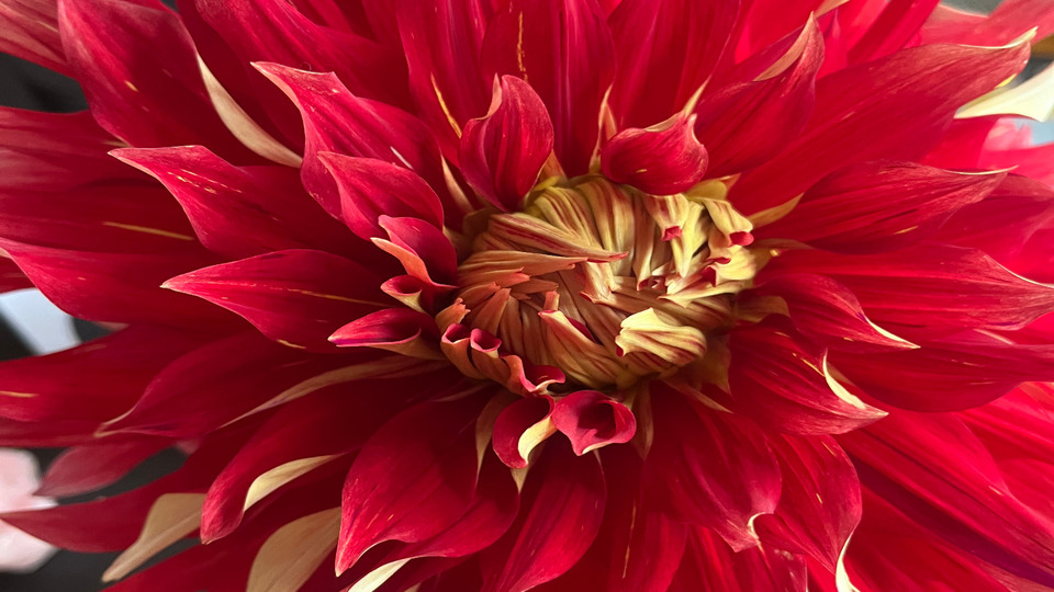 Offering Image