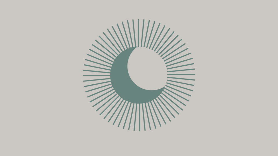 Progress Course for Beginners (4 Sessions)