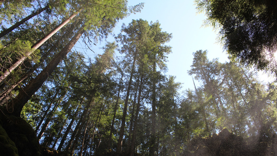 10 private class bundle