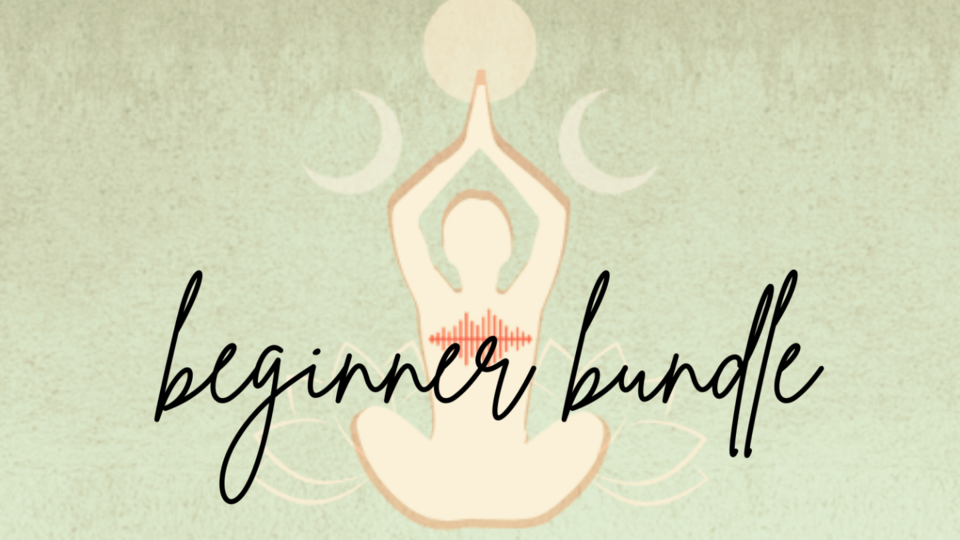 Beginner’s Bundle (5 Foundations Classes)