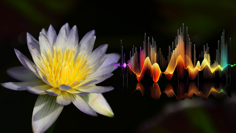 Offering Image