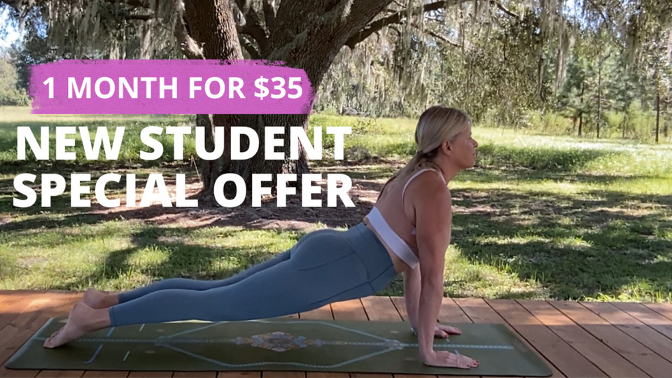 New Student Special Rate