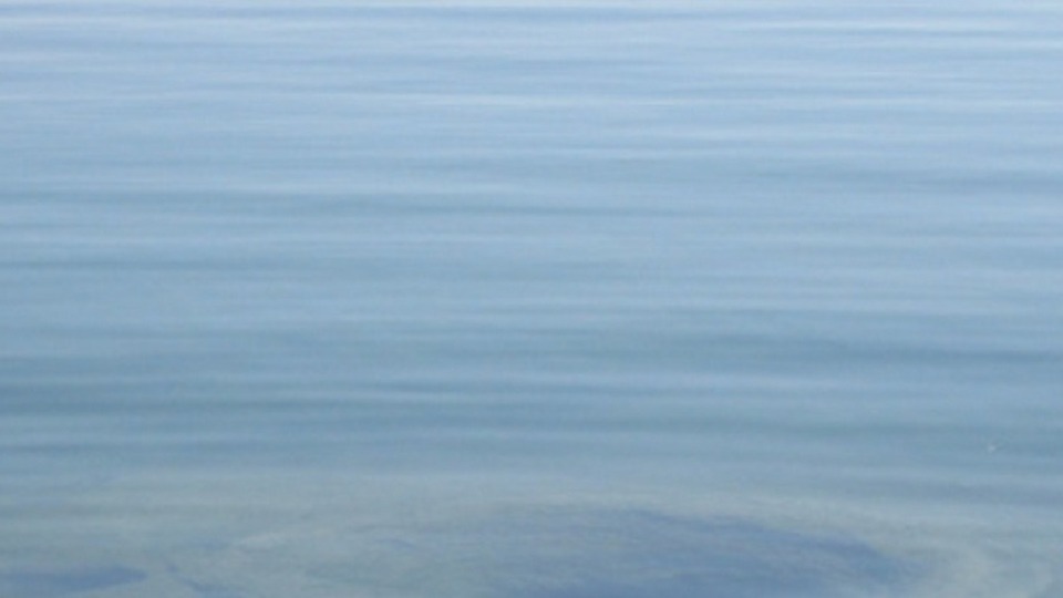 Single Online Yoga Class for Seniors & Underemployed