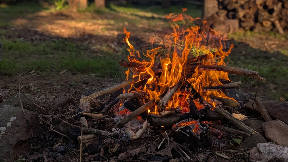Cooling the Inner Fire with Jan of Sycamore Roots
