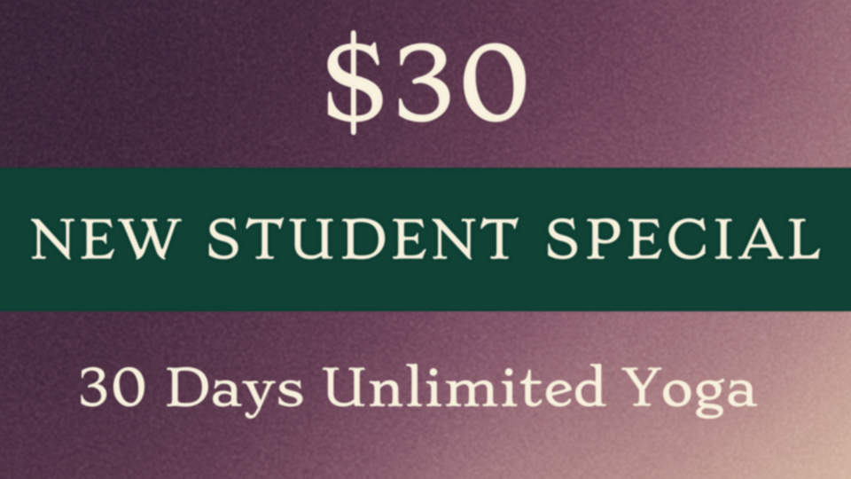 New YOCO Student Special