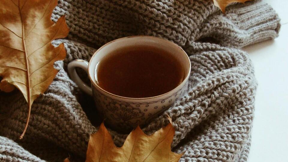 Seasonal Living Experience -Find Your Ground - Ayurveda in the Fall