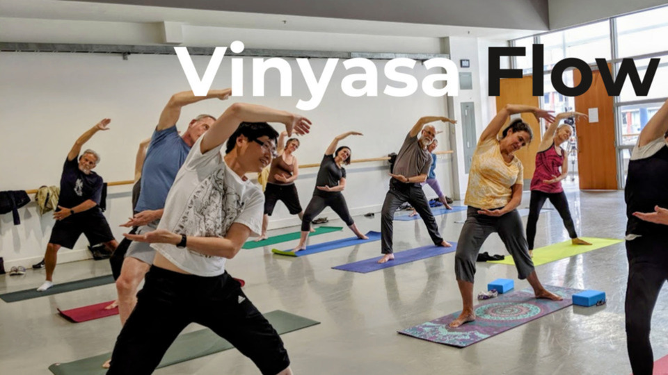 10 Class Pass / 60 minute Vinyasa FLOW / Online class