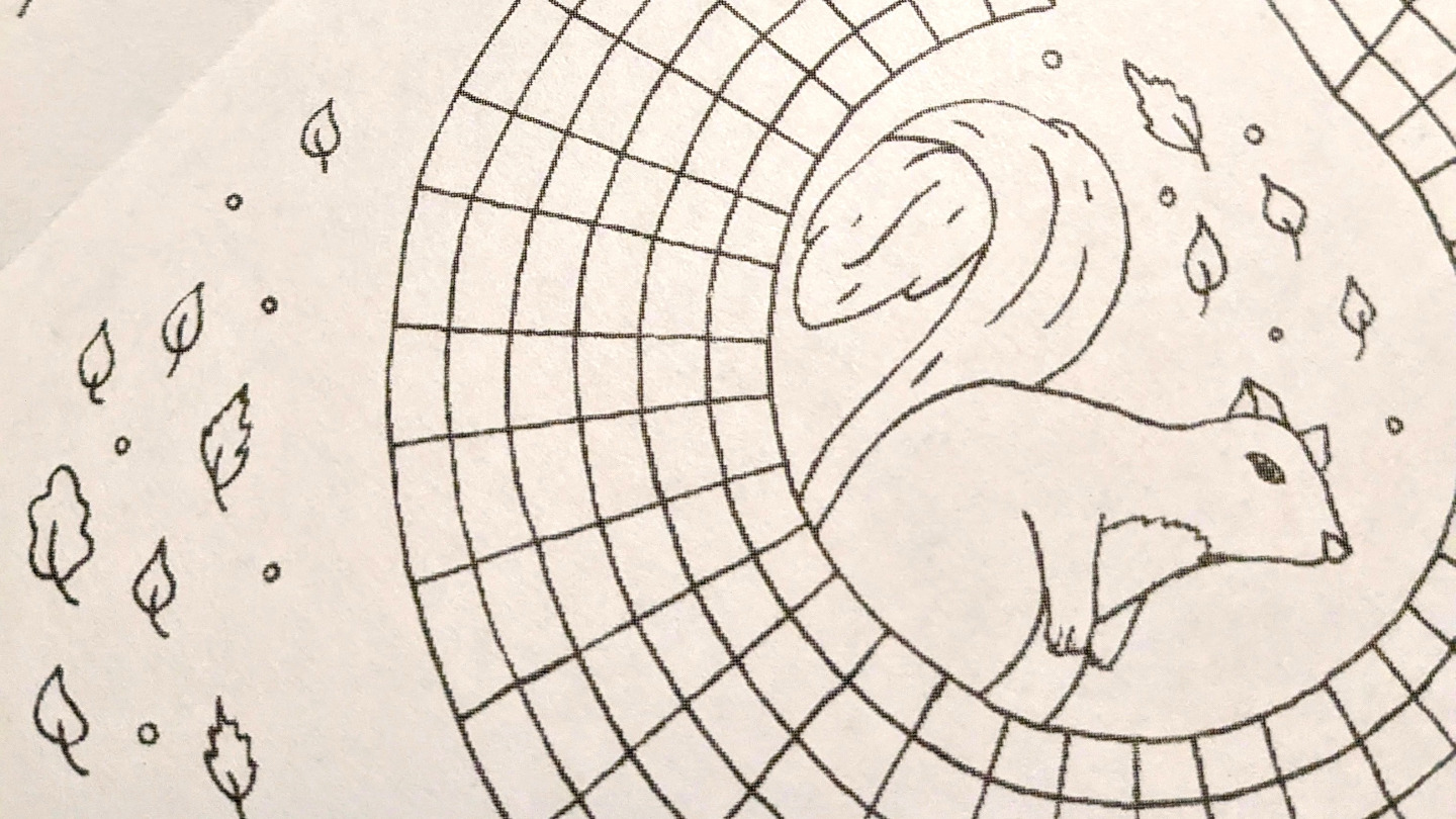 Autumn Squirrel Tracker