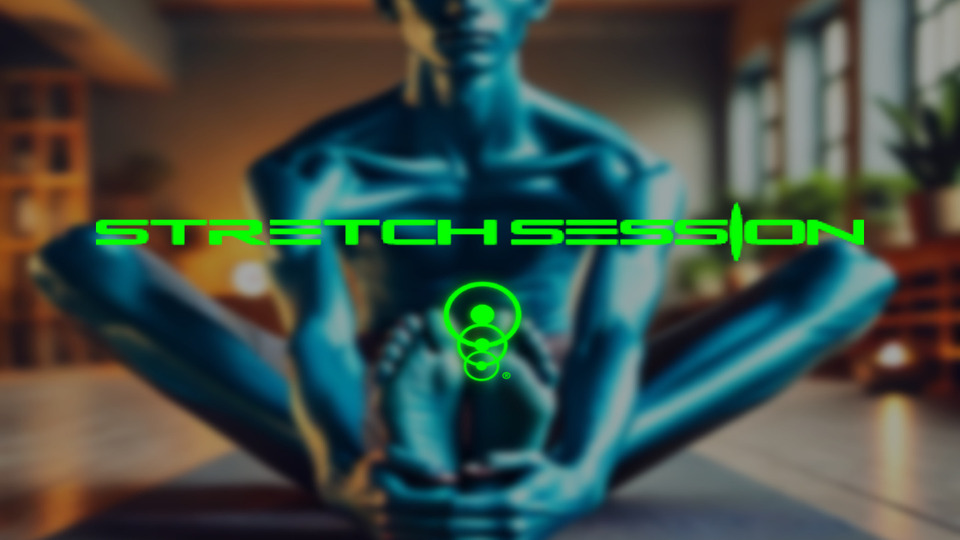30 MIN PROFESSIONAL STRETCH SESSION 2.0