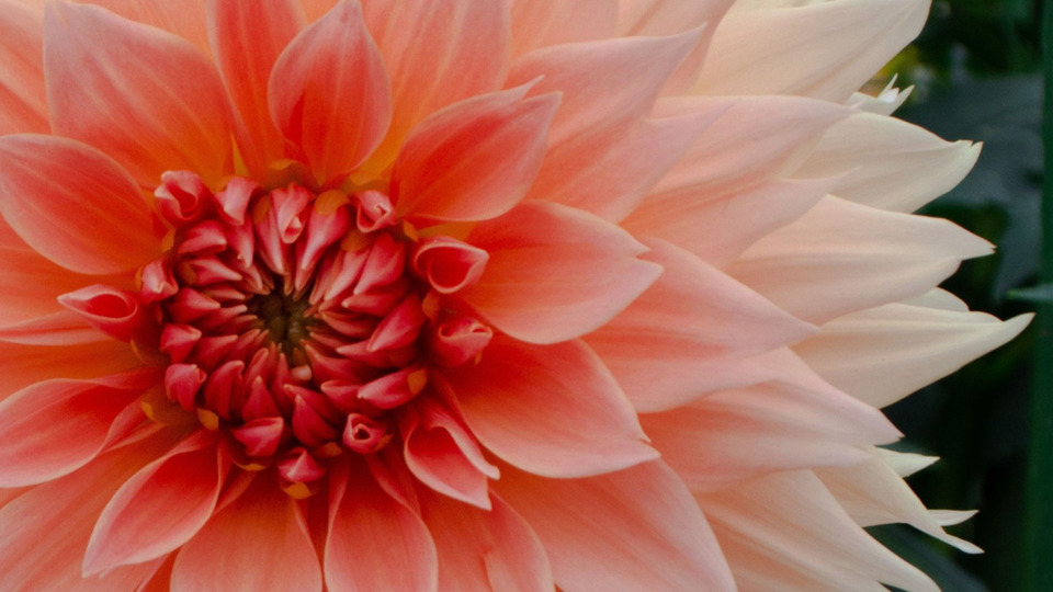 $65 One Month Unlimited Membership for Teachers and School Staff Auto Renew