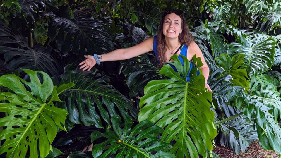 Consultation Call: Rooted & Resilient