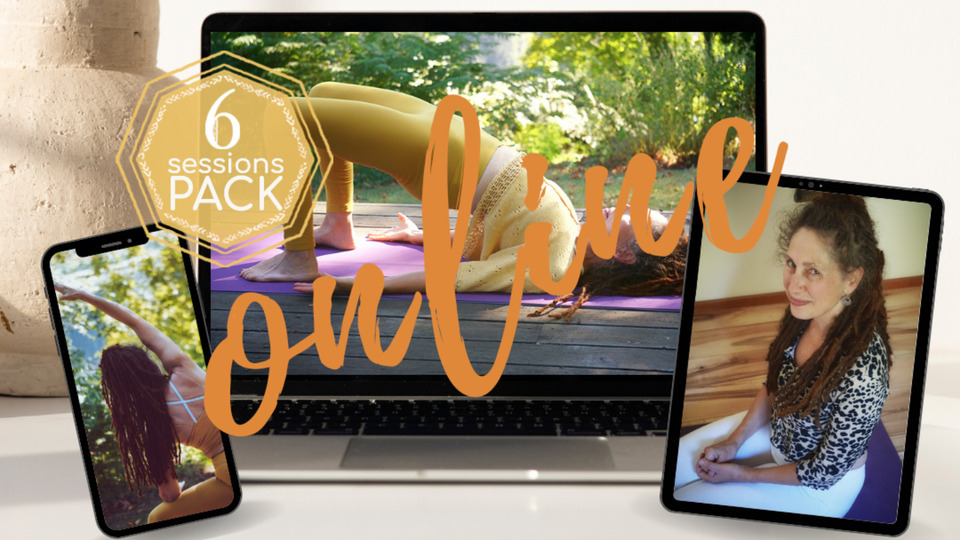 Online 6 Session Pack (1 hour/session)