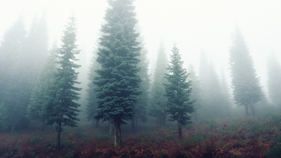 Divine Rebel Yoga Schedule