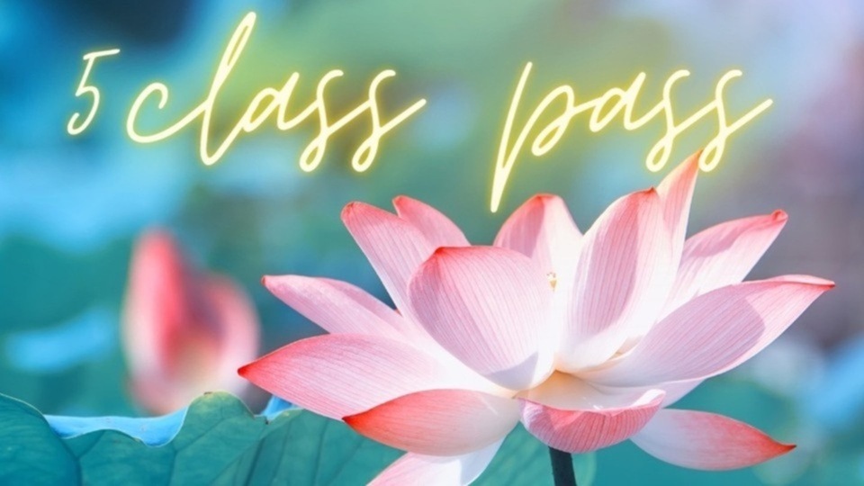 In Studio or Off Site 5-Class Pass (Can Be Purchased as a Gift)