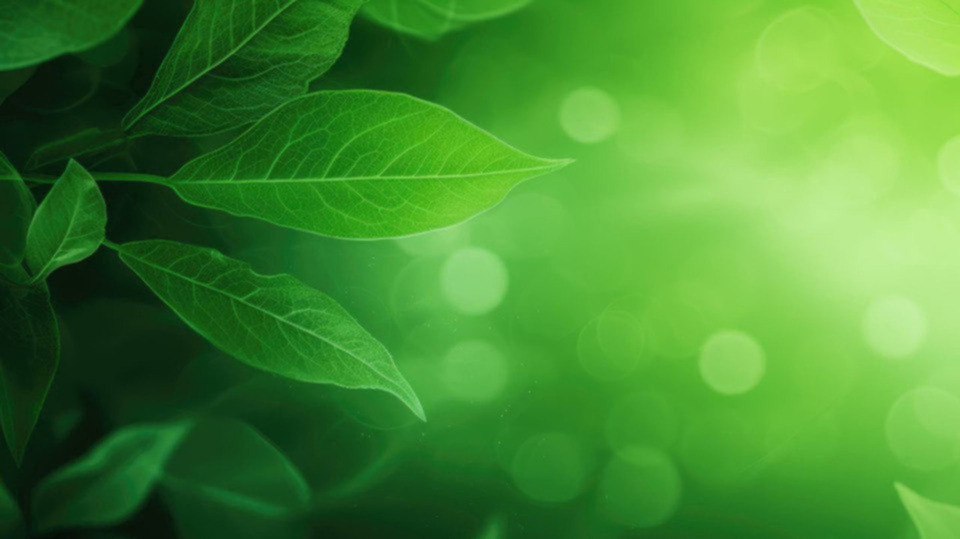 1 Hour 15 Min Private Yoga x 5 