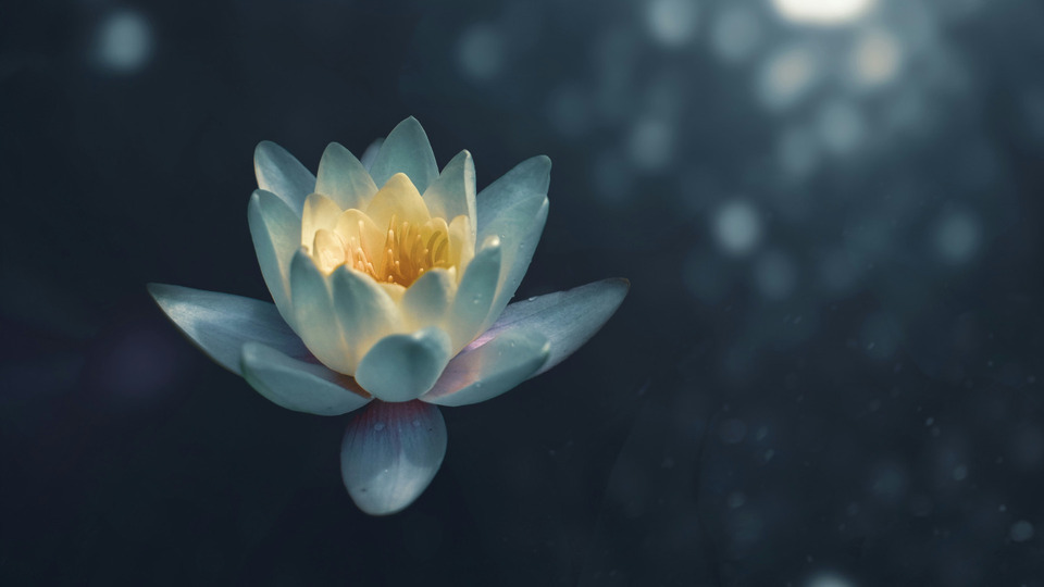 Offering Image