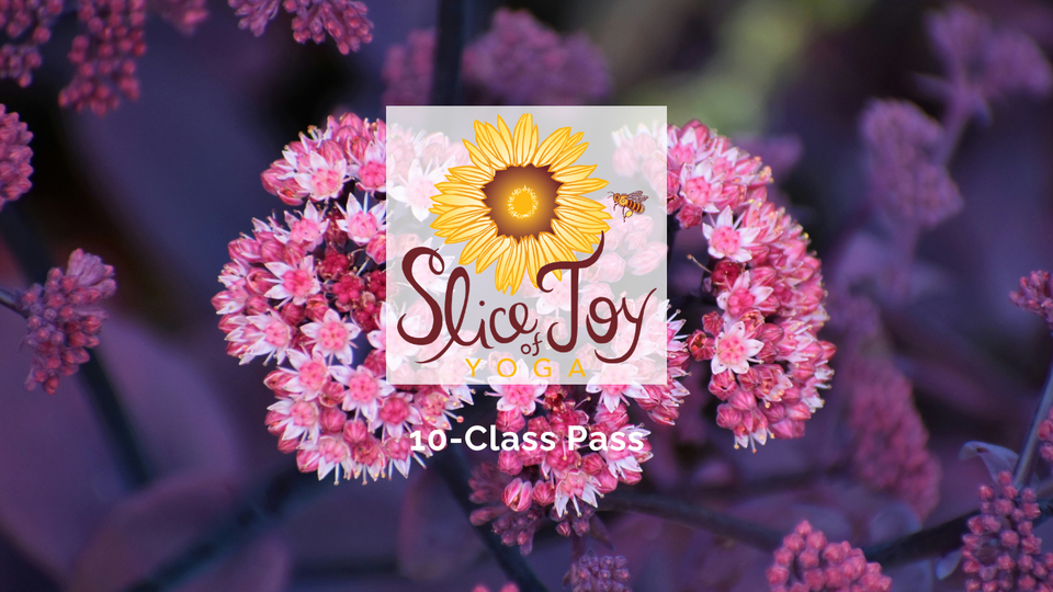 10-Class Pass