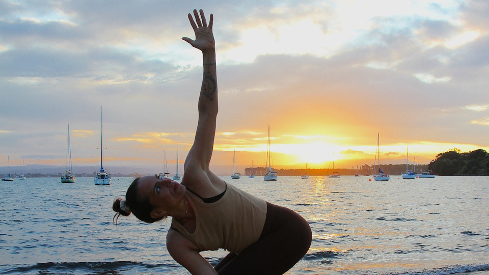 The Premium Lioness: 1-Year All-Access Pass