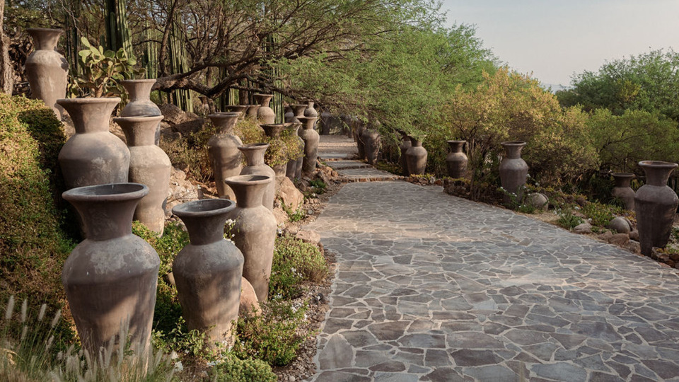 Private 1:1 Session (90-Minute Session)