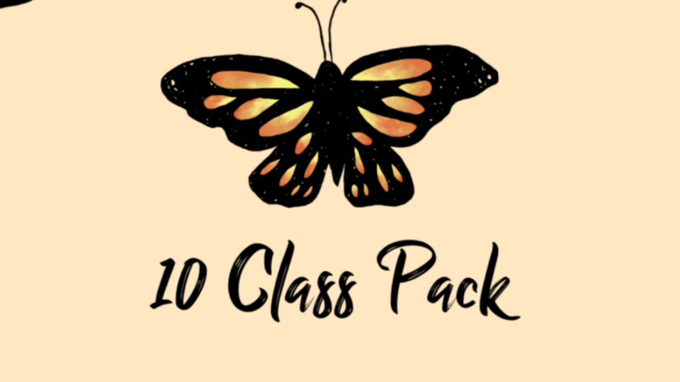 Ten Classes ($110)