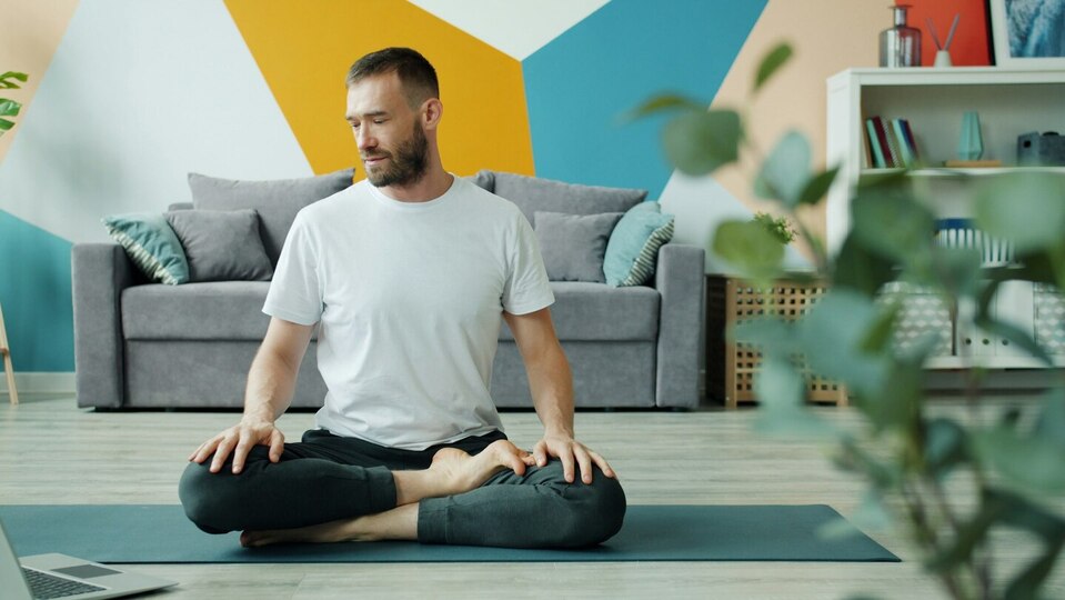 Zen Yogi Online Only