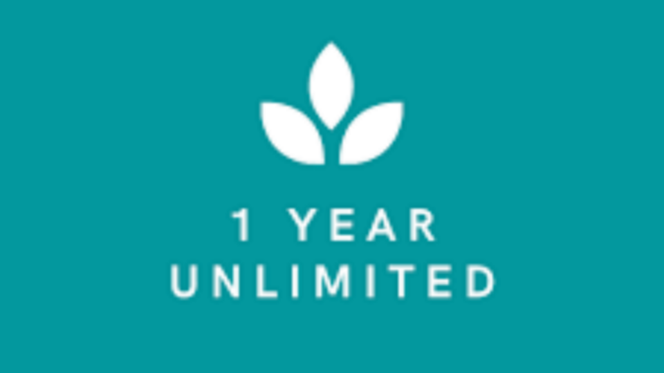 1 Year unlimited