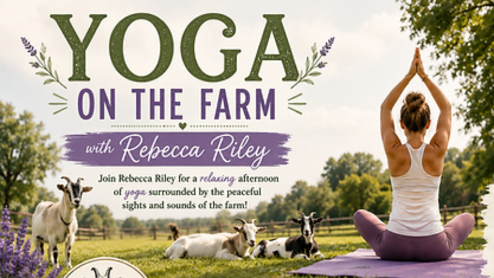 Goat Yoga