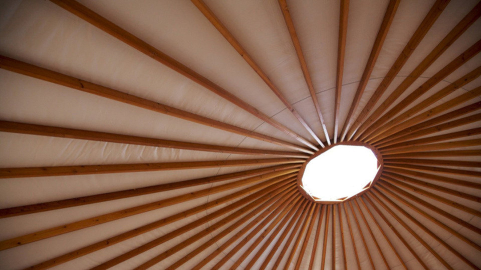 5-Class Intro Pass (SPECIAL)