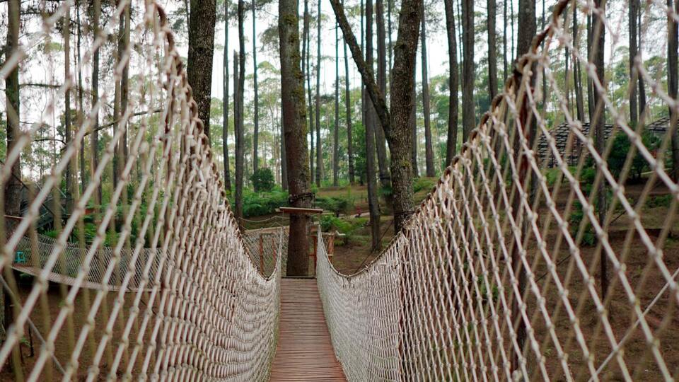 Follow-up Yoga Therapy Sessions Package