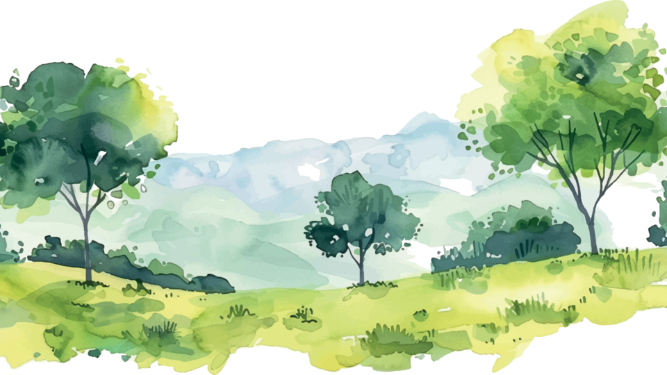 The Steward's Journey