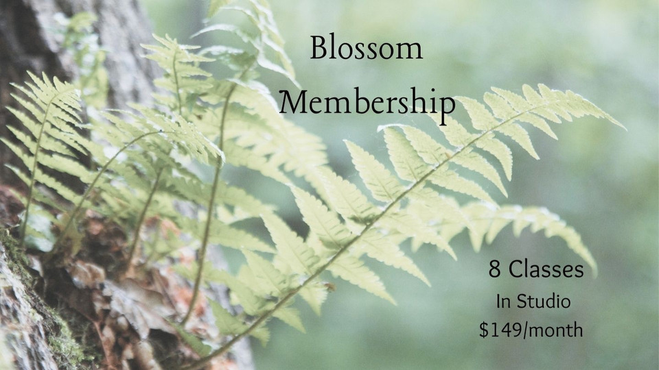 6 Month Blossom Membership 