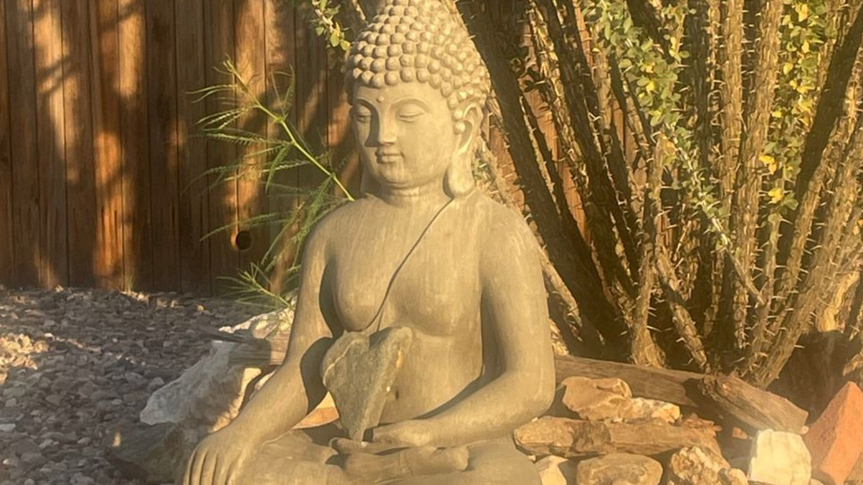 Founder only Monthly Unlimited